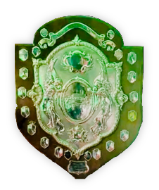 Top Team Shield